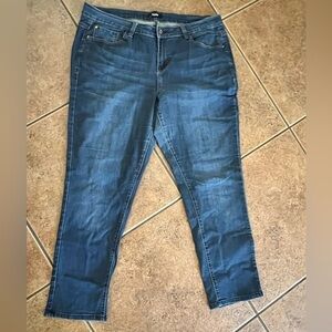 Kensie Jeans Blue Skinny Jeans with Subtle Fading